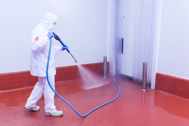 Best Graffiti Removal  in Tiburon, CA